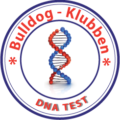 DNA Logo